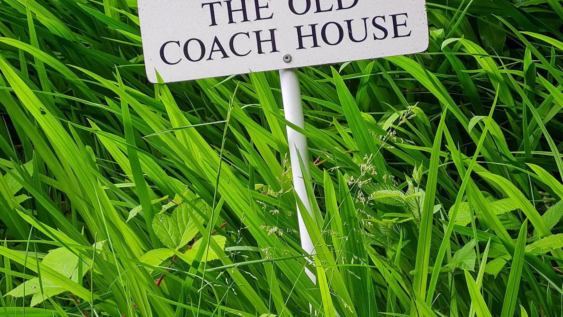 The Old Coach House Βίλα Thornton  Thornton (West Yorkshire)